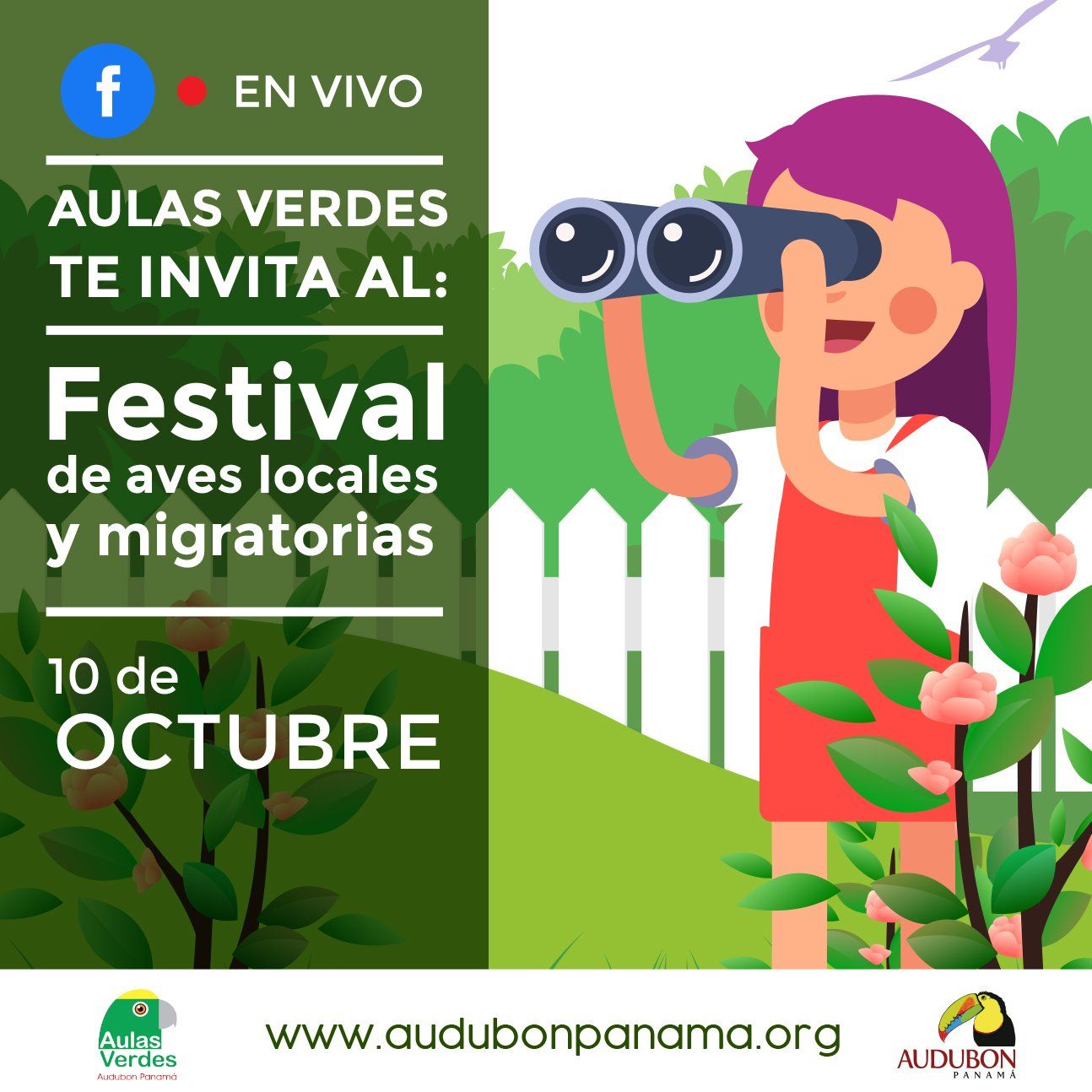 Primer Festival Virtual de Aves Migratorias y Locales